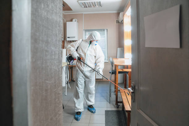 Mold Removal for HVAC Installations in Bethlehem, WV