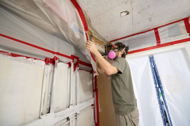 Best Mold Odor Removal Services  in Bethlehem, WV
