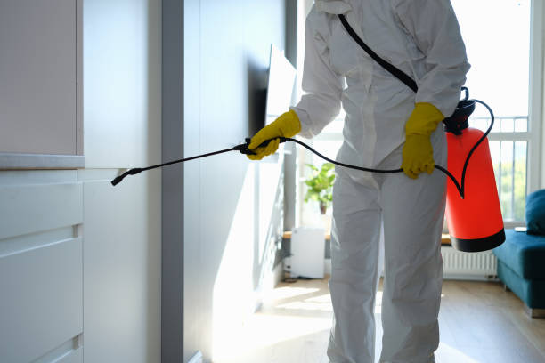 Mold Remediation for Vacation Homes in Bethlehem, WV