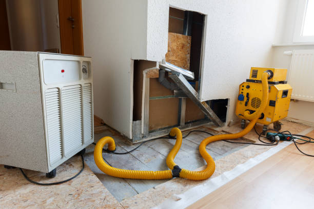 Best Attic Mold Removal  in Bethlehem, WV
