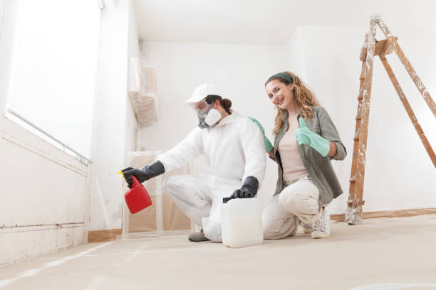 Best Mold-Related Health Consultation  in Bethlehem, WV